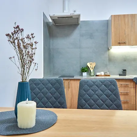 Apartment стильні на ратушній площі Mukacheve